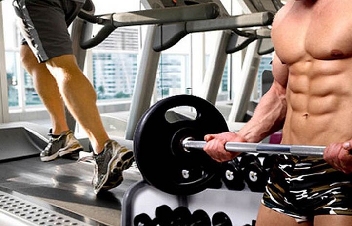 Treinamento de força